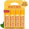 Buy Burt’s Bees Beeswax Lip Balm Online